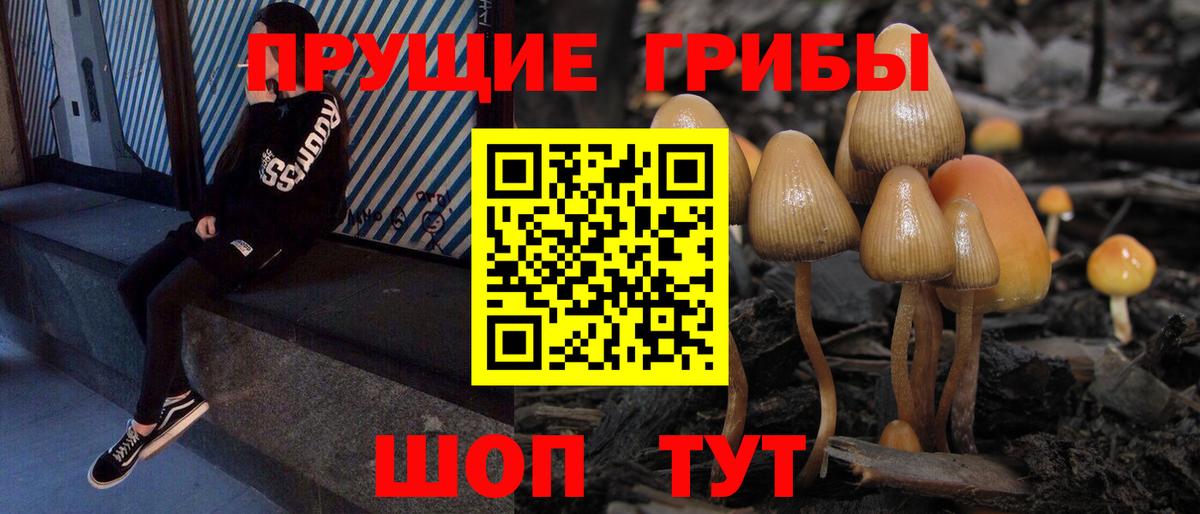 Мирный  Галлюциногенные грибы Cubensis  Вход с VPN 